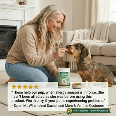 Woman feeding dog Pawbiotics Allergy & Immune chews in a cozy living room setting.