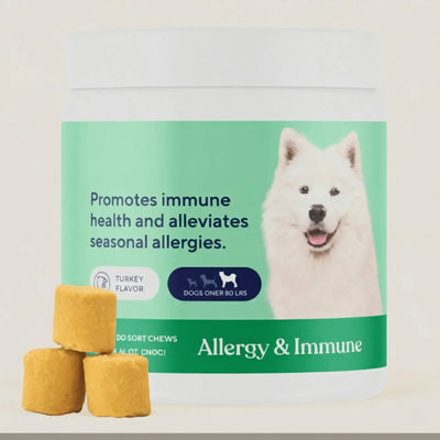 Dog allergy and immune support chews for large dogs, turkey flavor, with product label.
